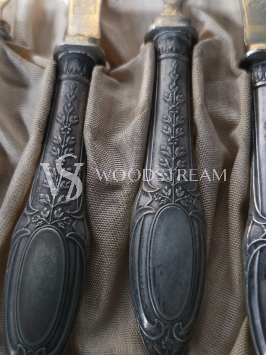 Набор столовых приборов в оригинальной коробке: ножи и вилки