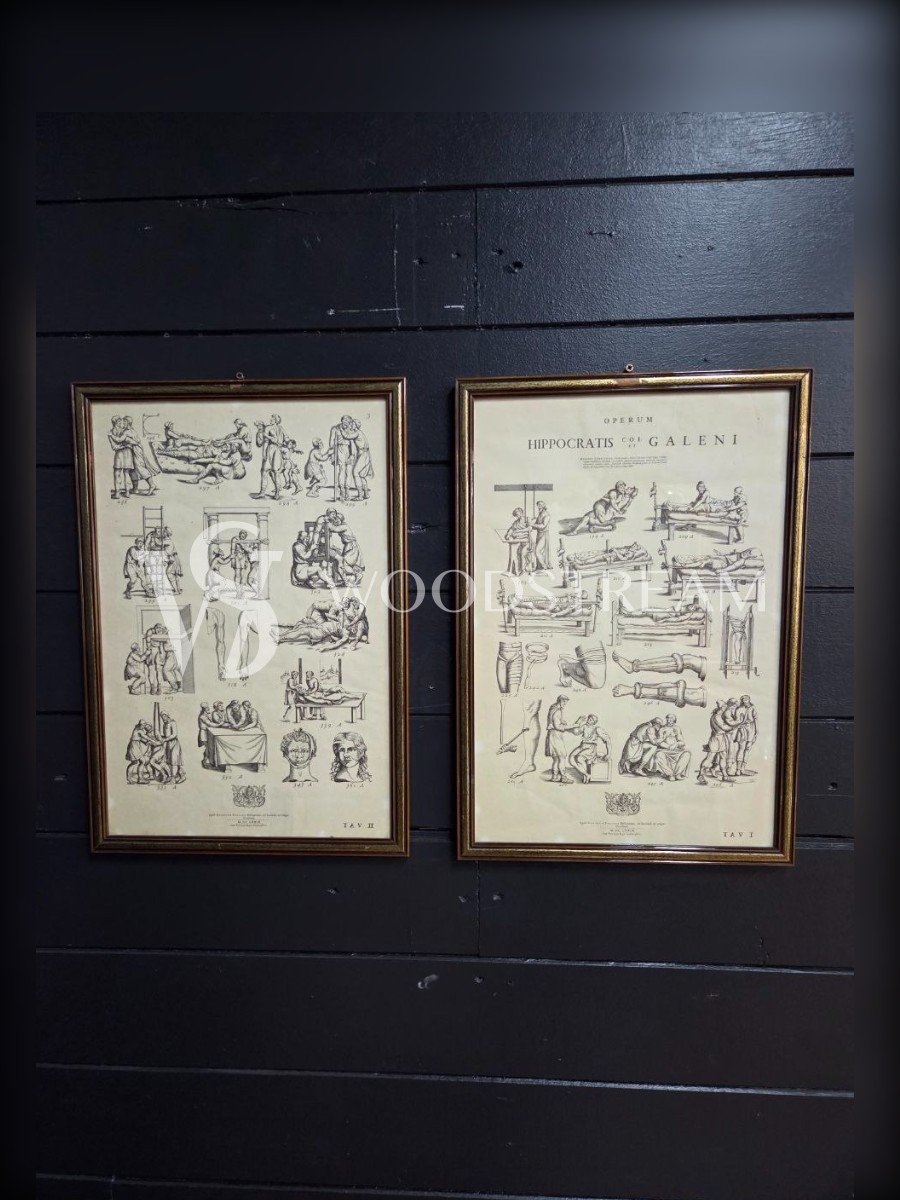 Картина/Иллюстрация из книги Гиппократа 2 штуки