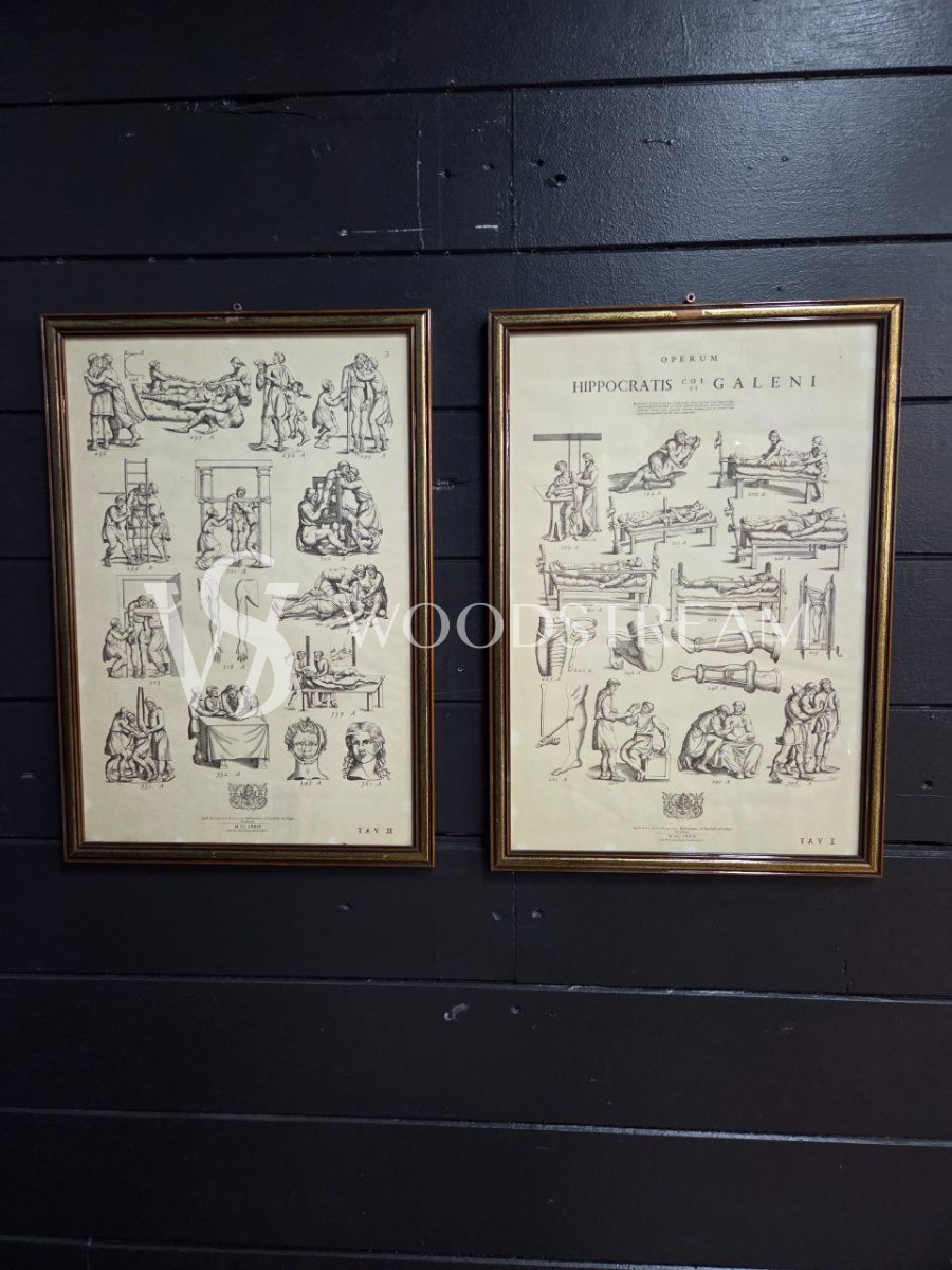 Картина/Иллюстрация из книги Гиппократа 2 штуки