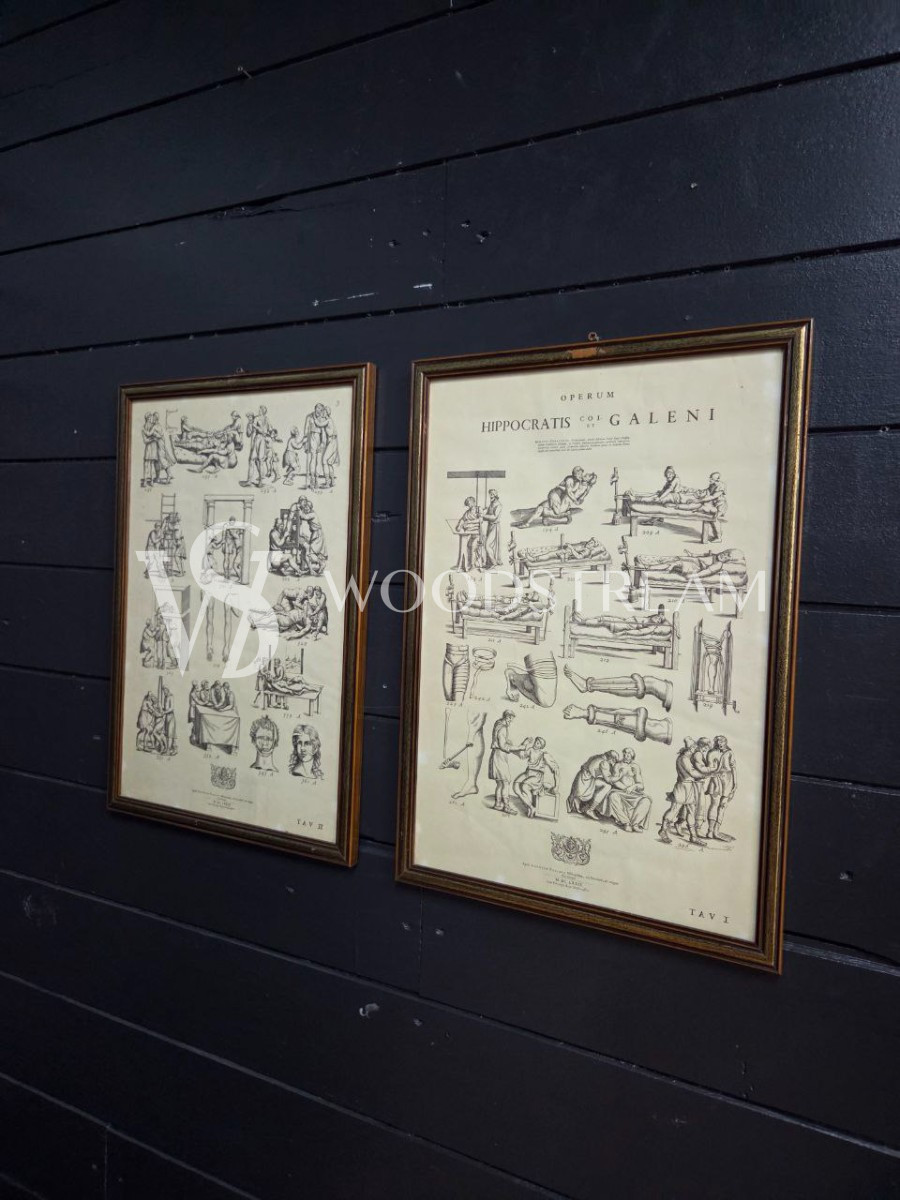 Картина/Иллюстрация из книги Гиппократа 2 штуки