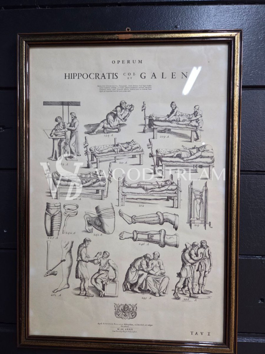 Картина/Иллюстрация из книги Гиппократа 2 штуки