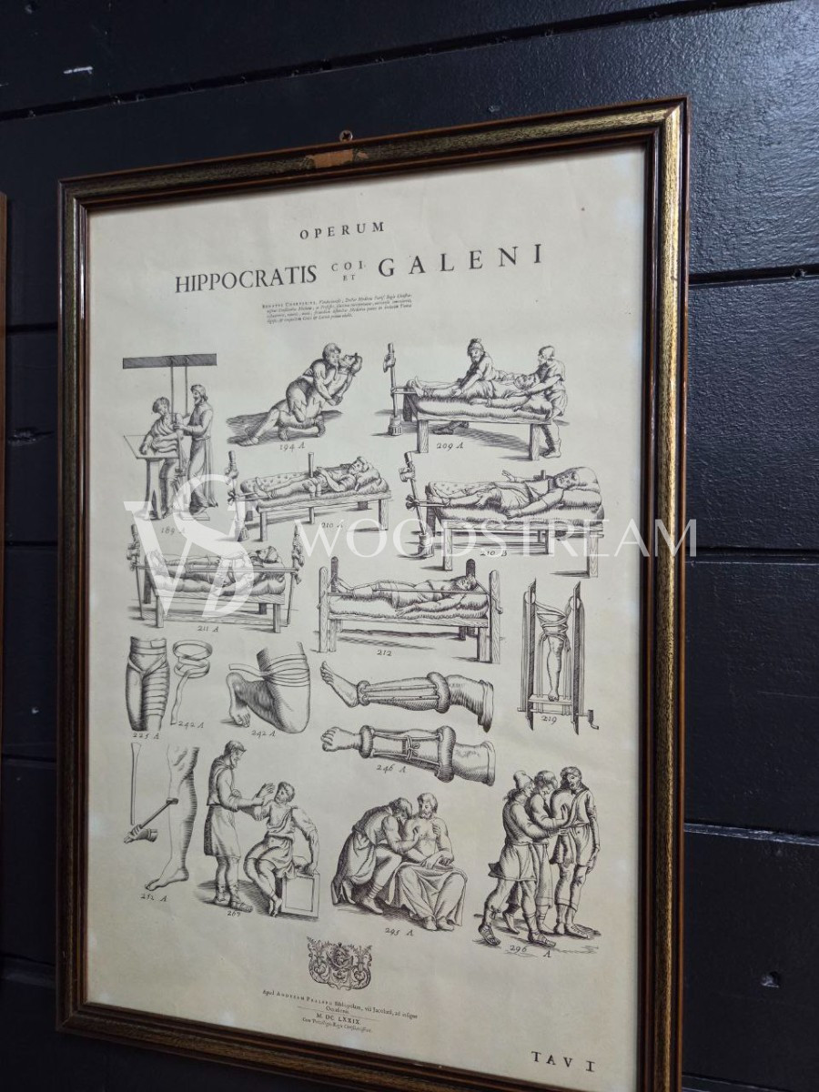 Картина/Иллюстрация из книги Гиппократа 2 штуки