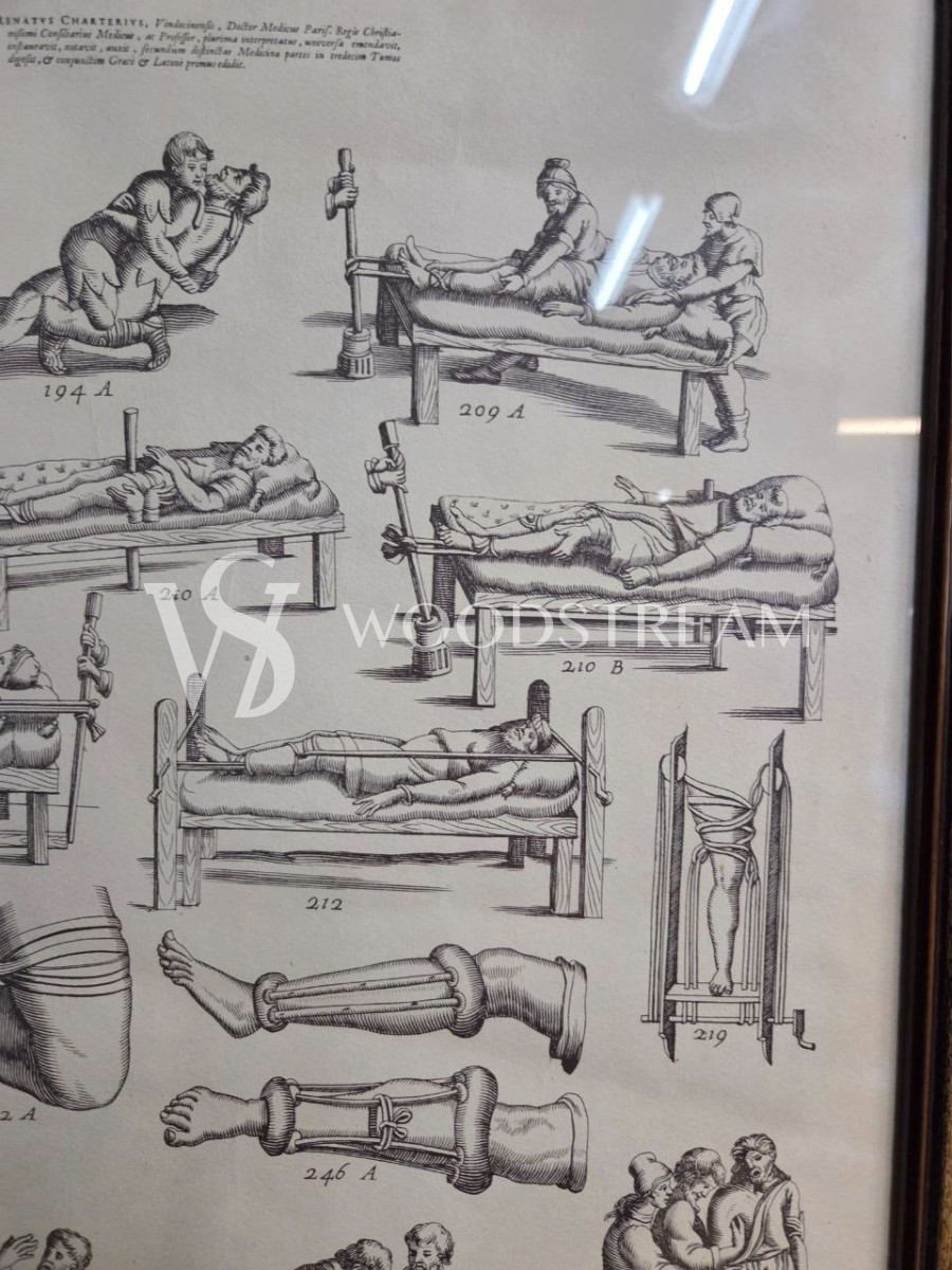 Картина/Иллюстрация из книги Гиппократа 2 штуки