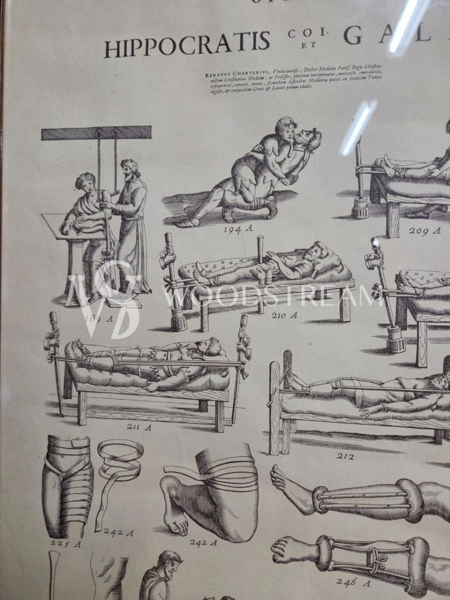 Картина/Иллюстрация из книги Гиппократа 2 штуки