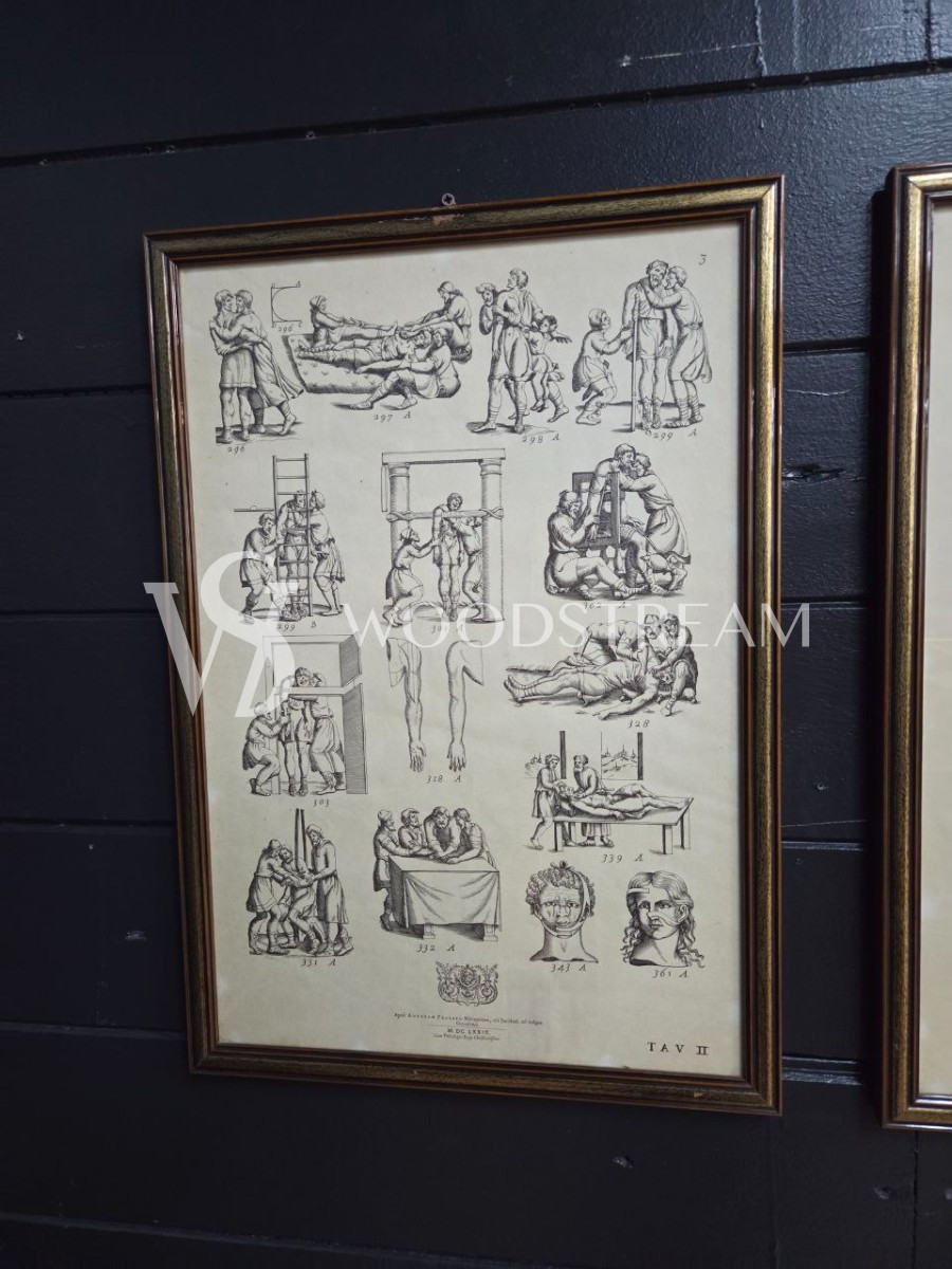 Картина/Иллюстрация из книги Гиппократа 2 штуки