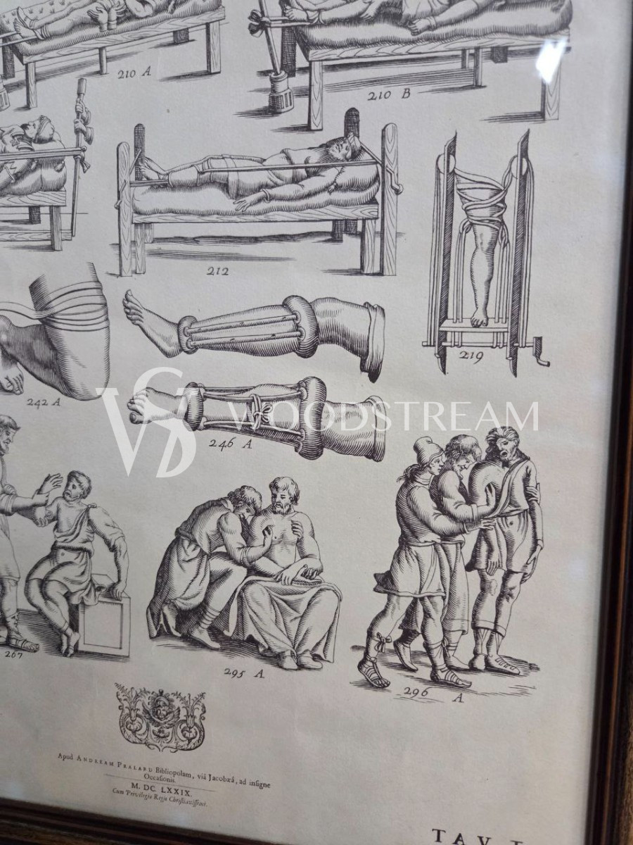 Картина/Иллюстрация из книги Гиппократа 2 штуки