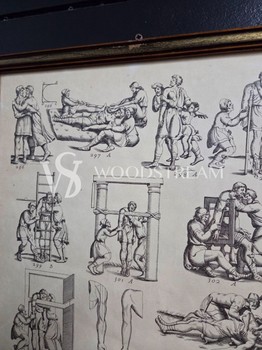 Картина/Иллюстрация из книги Гиппократа 2 штуки