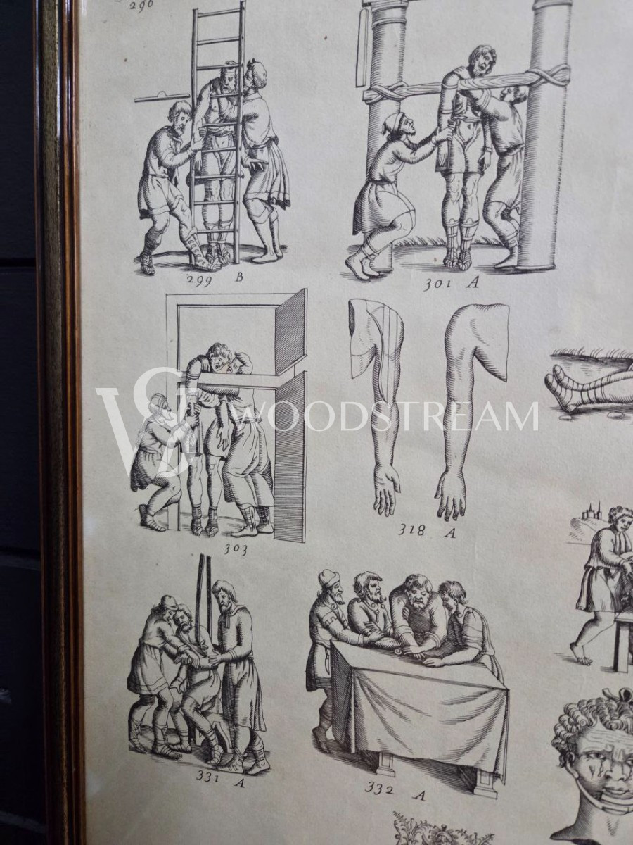 Картина/Иллюстрация из книги Гиппократа 2 штуки