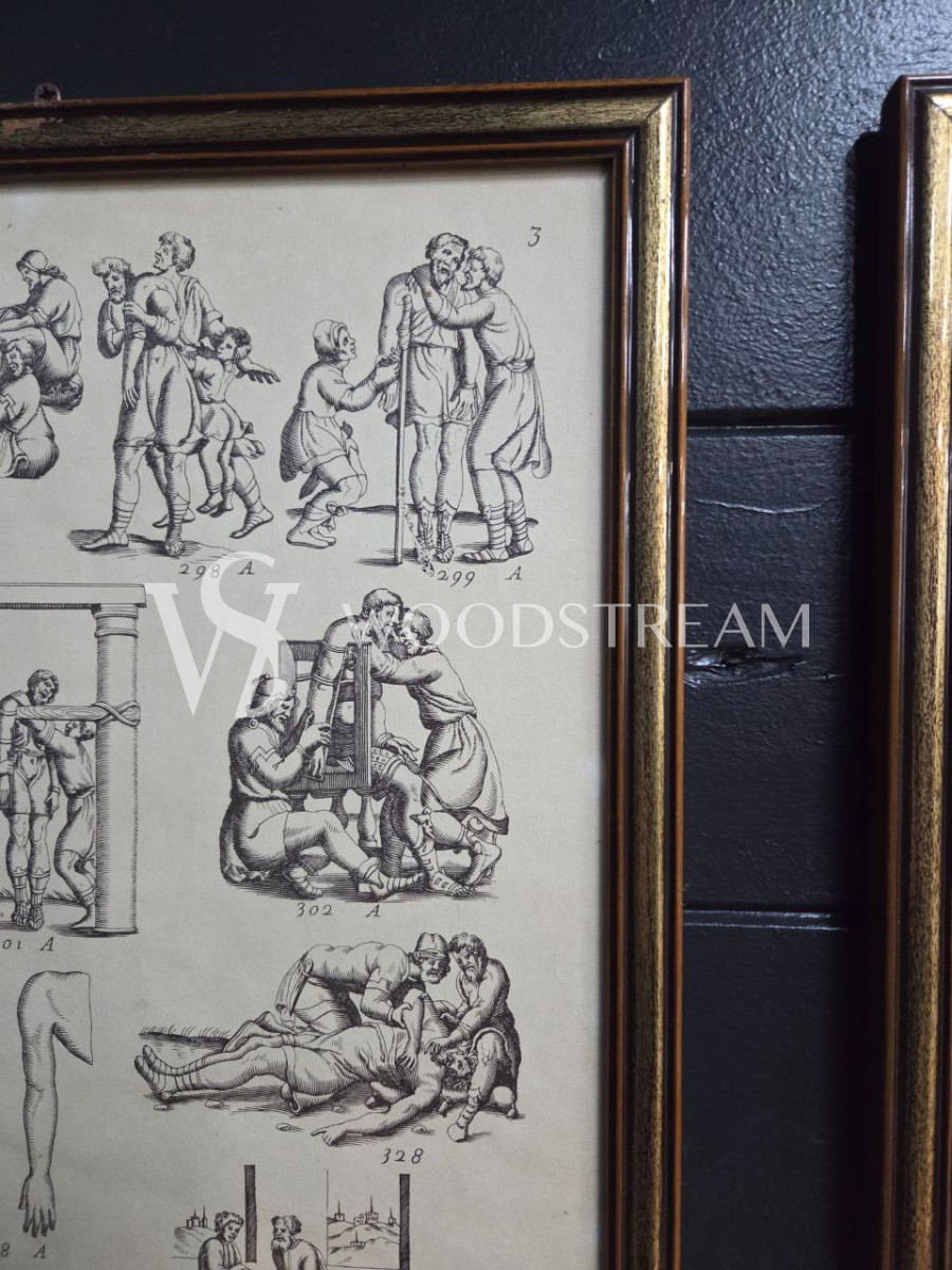 Картина/Иллюстрация из книги Гиппократа 2 штуки