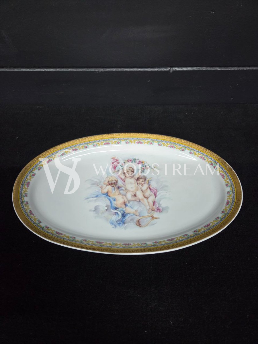 Набор обеденный: Поднос/Блюдо и Тарелка 5 штук Limoges