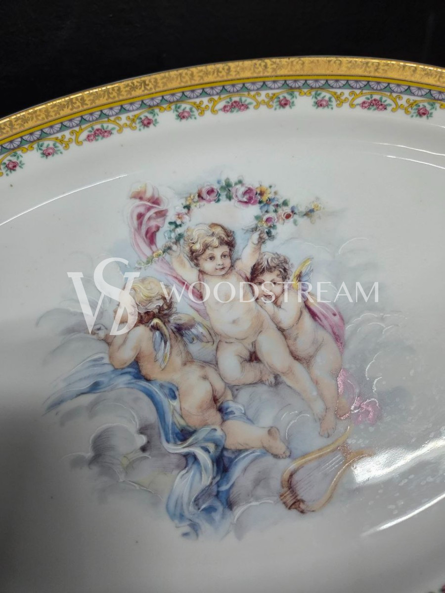 Набор обеденный: Поднос/Блюдо и Тарелка 5 штук Limoges