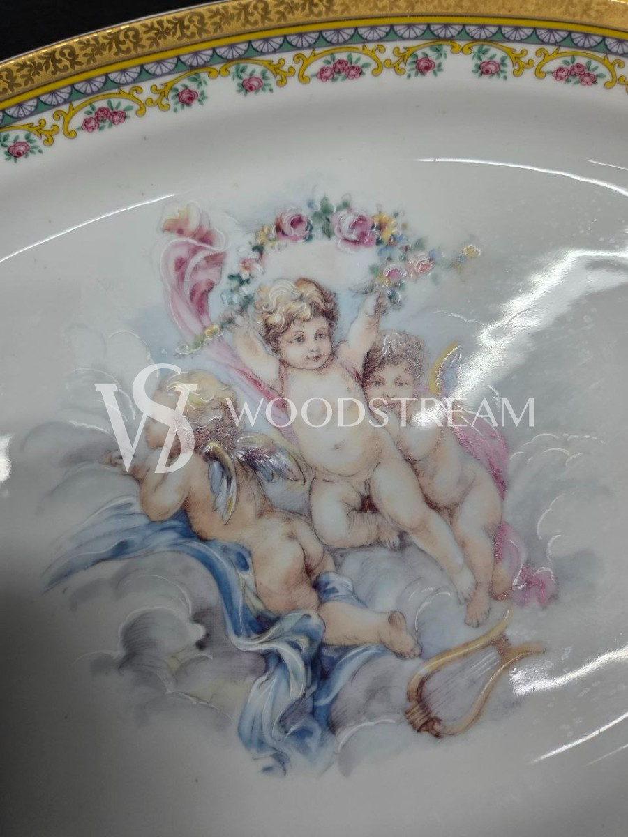 Набор обеденный: Поднос/Блюдо и Тарелка 5 штук Limoges