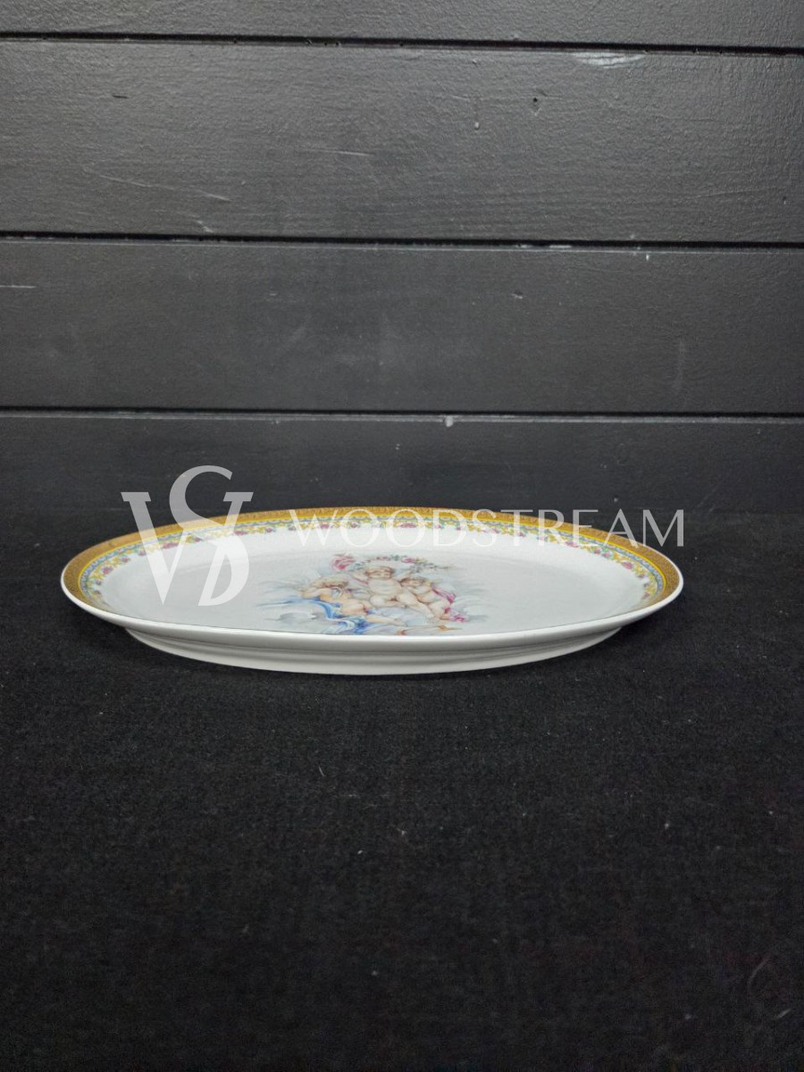 Набор обеденный: Поднос/Блюдо и Тарелка 5 штук Limoges