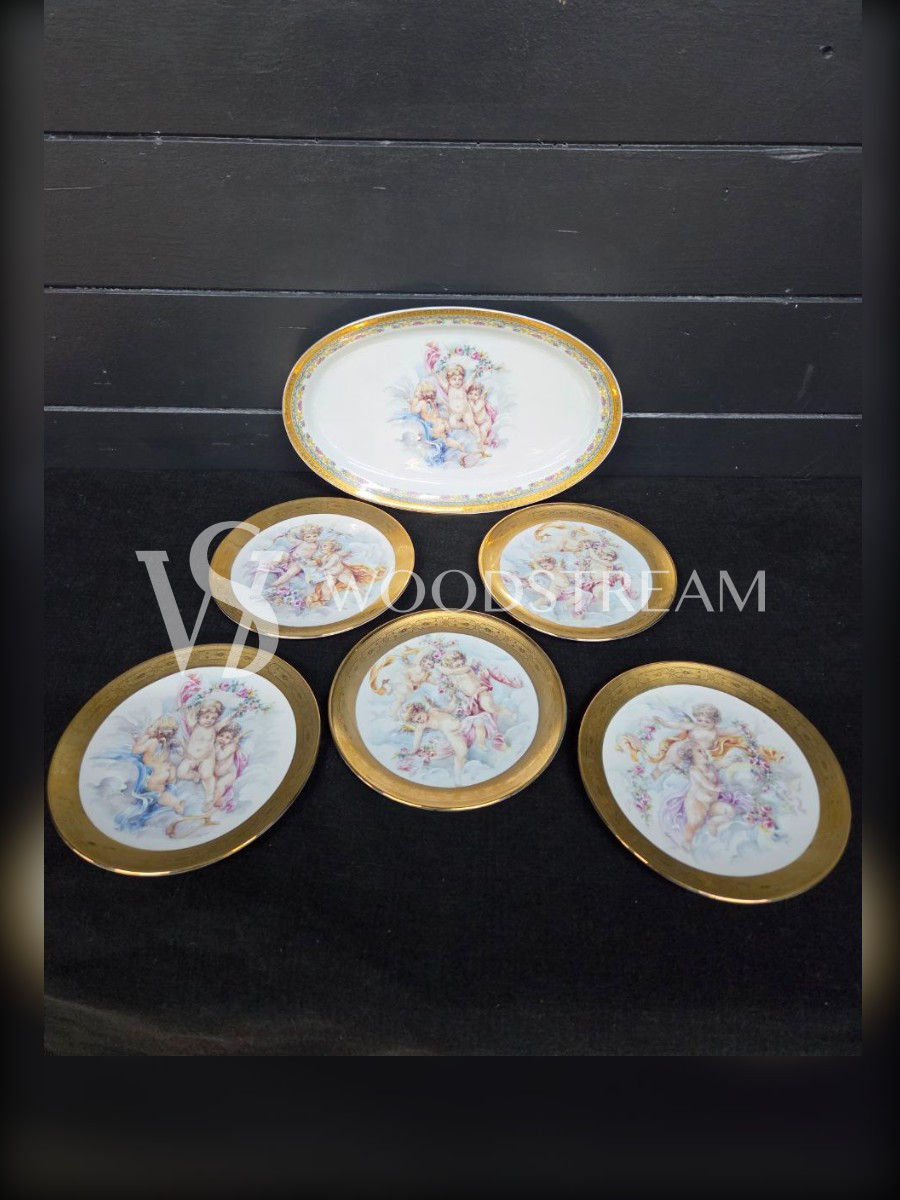 Набор обеденный: Поднос/Блюдо и Тарелка 5 штук Limoges