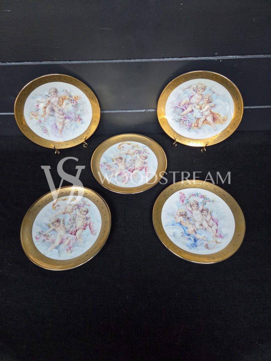 Набор обеденный: Поднос/Блюдо и Тарелка 5 штук Limoges