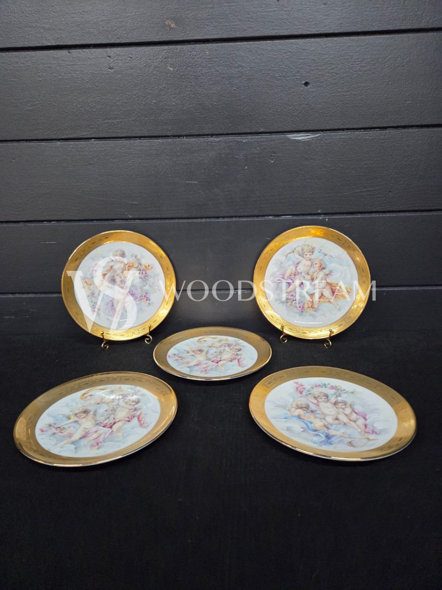 Набор обеденный: Поднос/Блюдо и Тарелка 5 штук Limoges