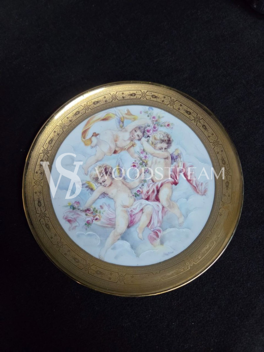 Набор обеденный: Поднос/Блюдо и Тарелка 5 штук Limoges