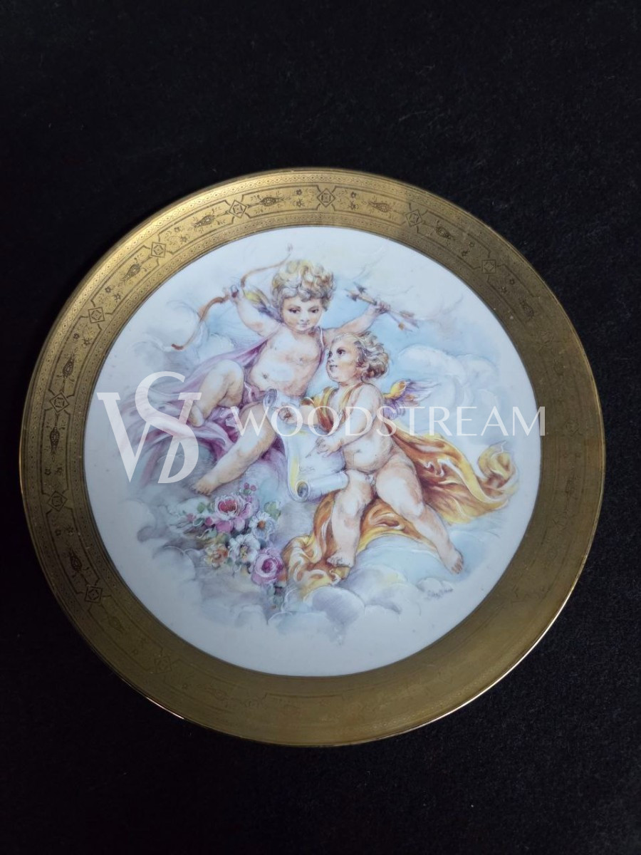 Набор обеденный: Поднос/Блюдо и Тарелка 5 штук Limoges