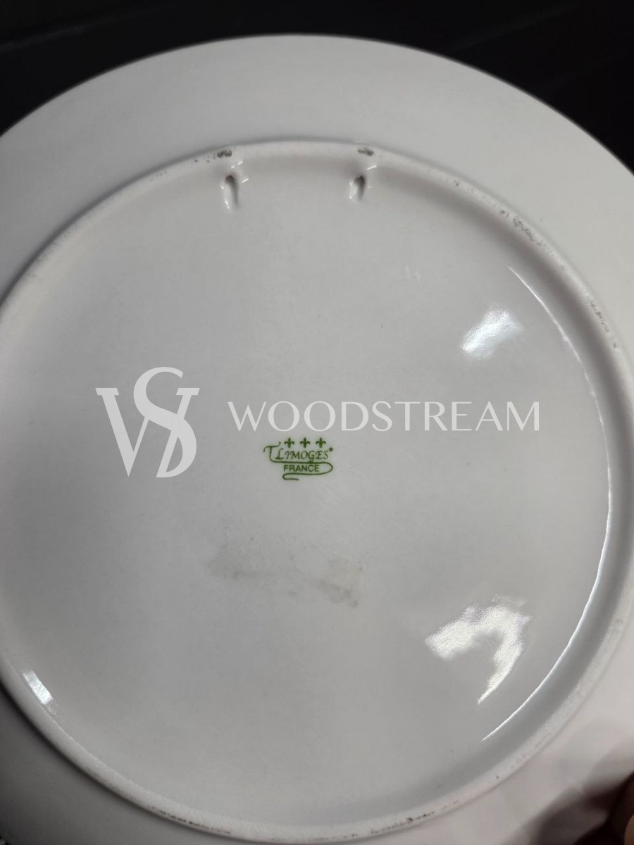 Набор обеденный: Поднос/Блюдо и Тарелка 5 штук Limoges