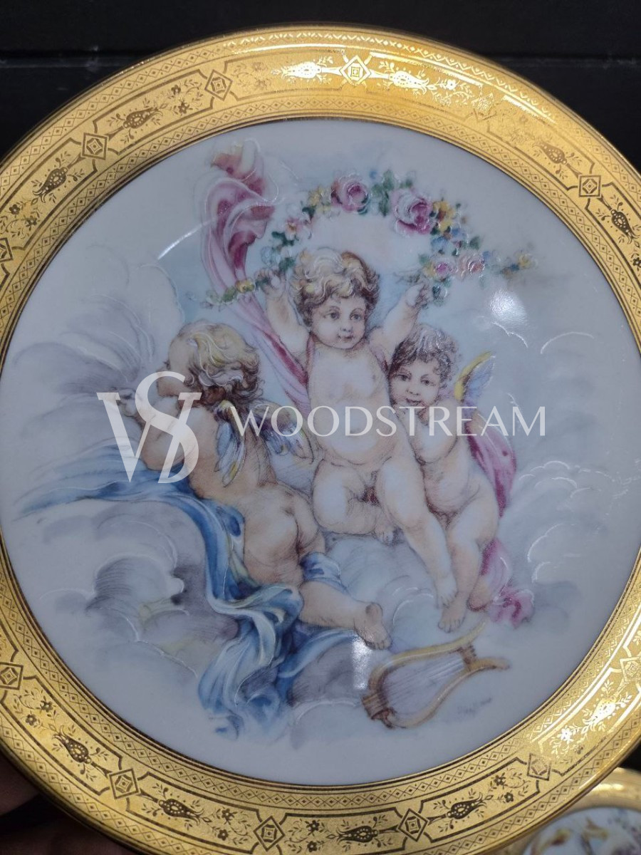 Набор обеденный: Поднос/Блюдо и Тарелка 5 штук Limoges