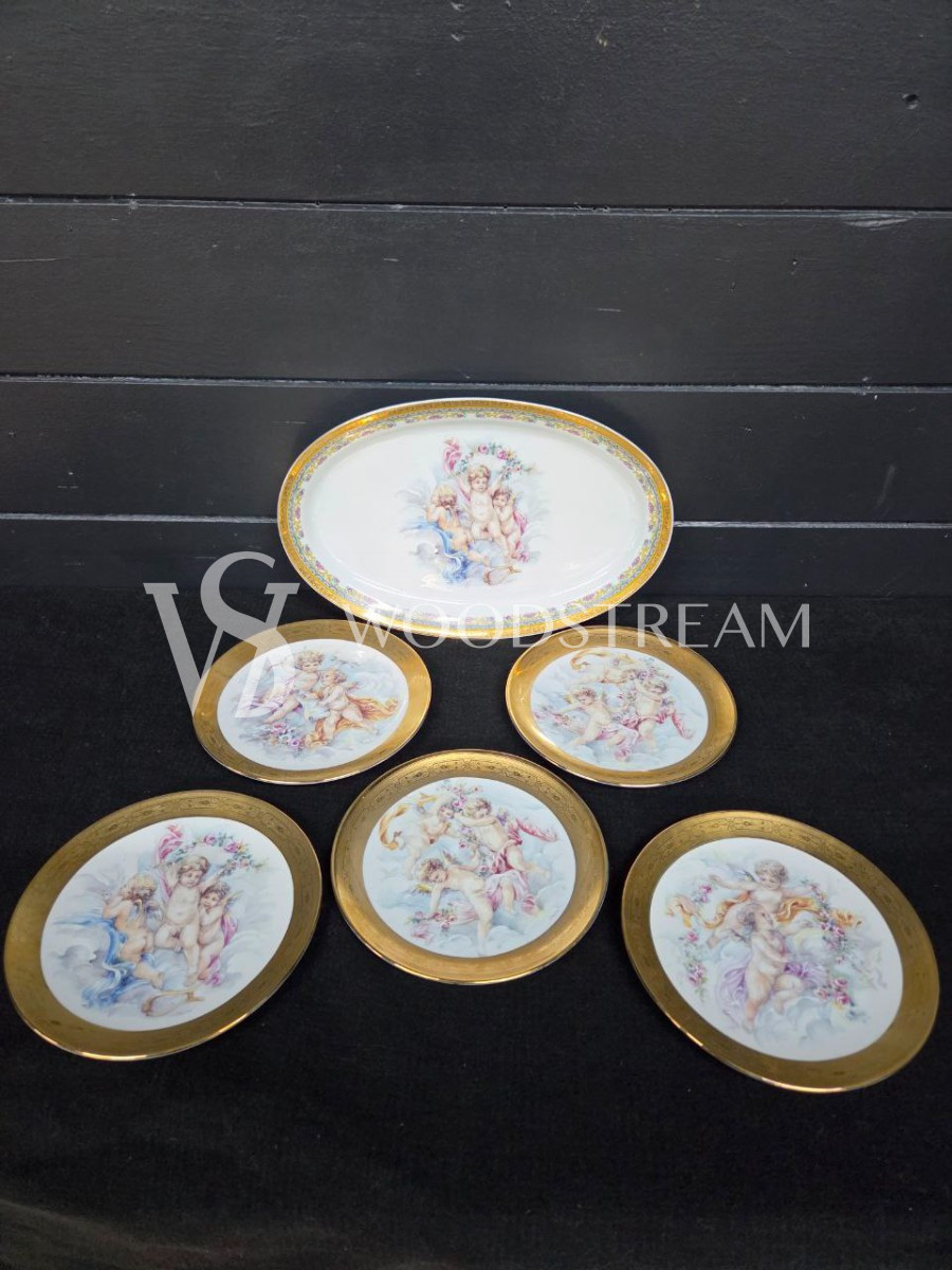 Набор обеденный: Поднос/Блюдо и Тарелка 5 штук Limoges