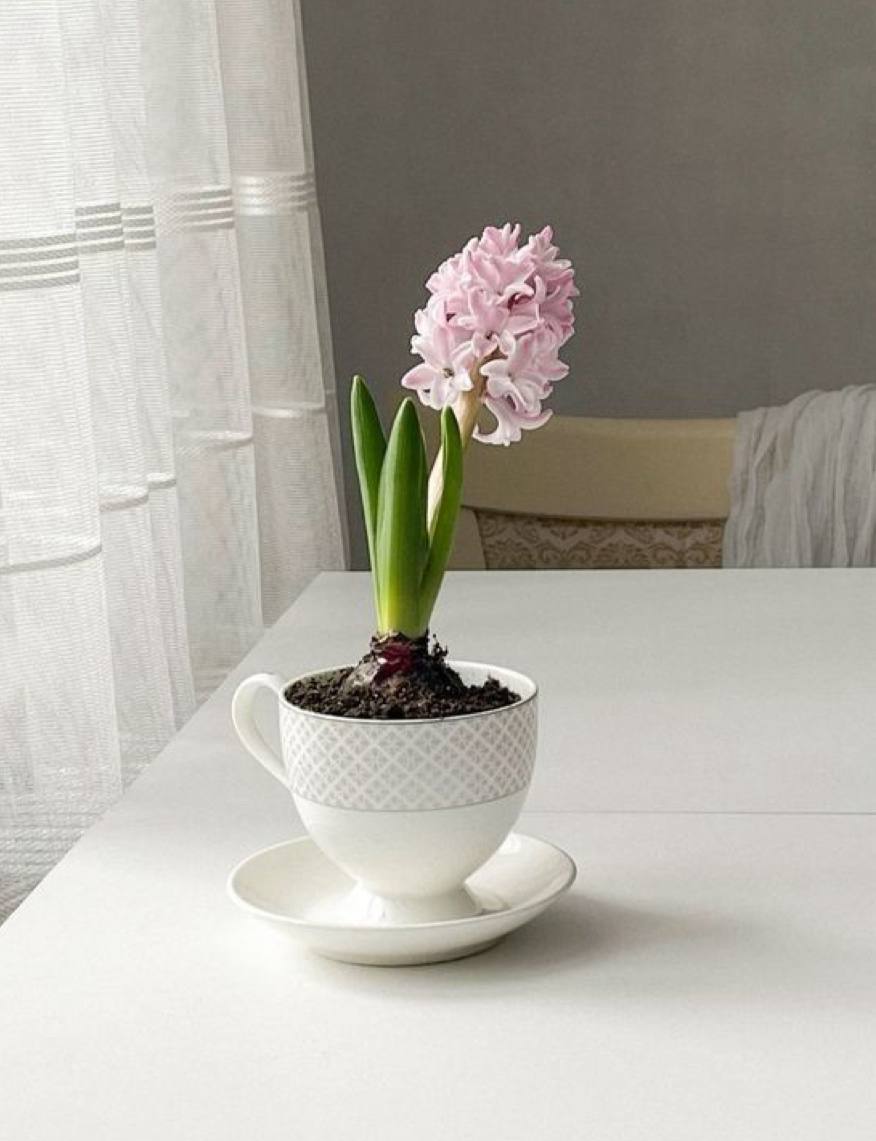 Фото от 22.03.2026