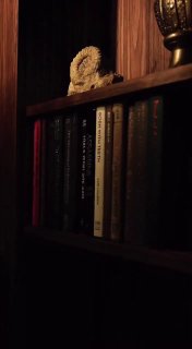 Познакомьтесь с потайным проходом, спроектированным как «дверной проем в задней части», который выглядит как обычный книжный шкаф и получил широкое распространение в аристократических особняках и библиотеках, особенно в Англии, начиная с XIX века!