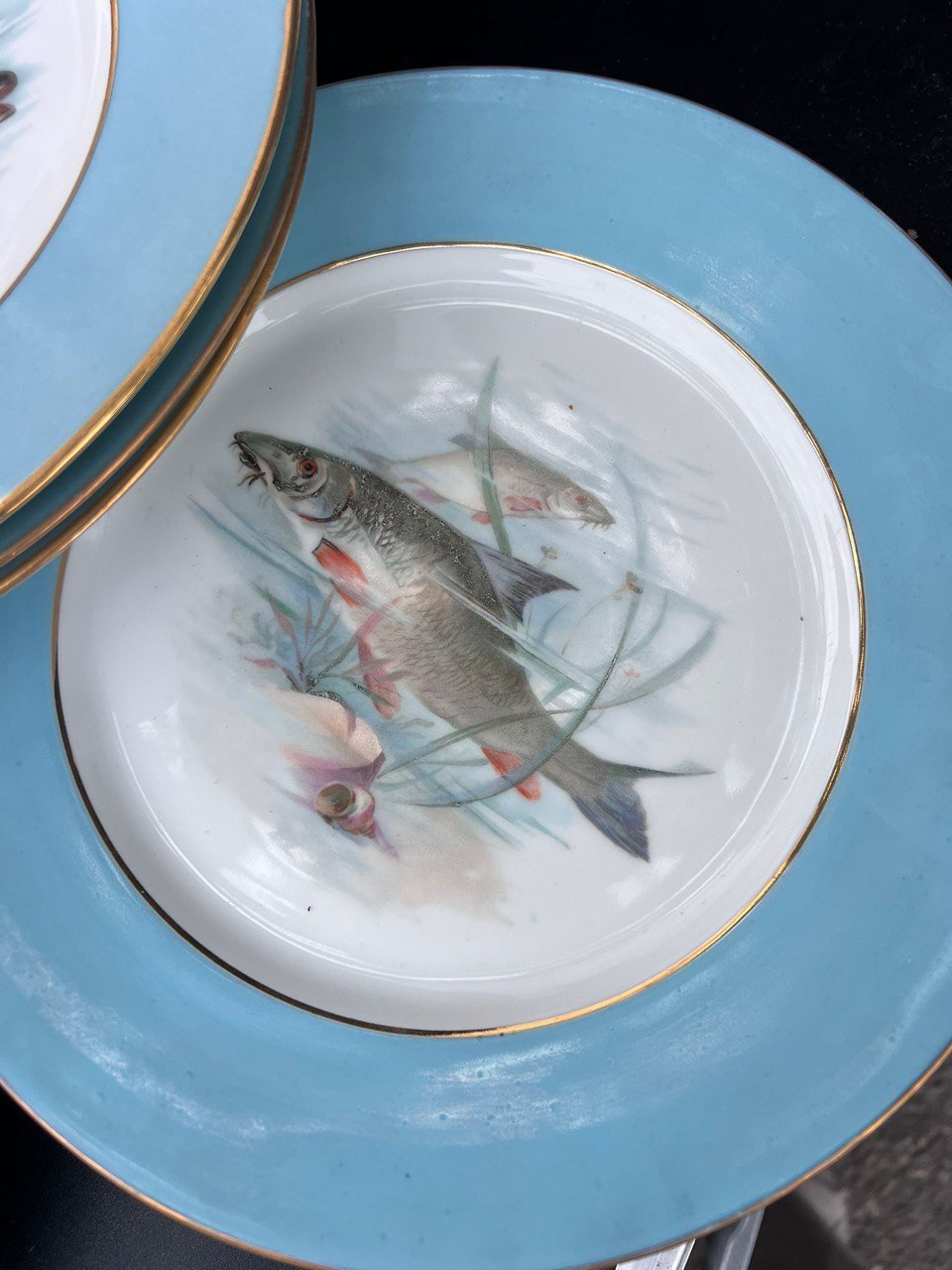 Сервиз столовый для рыбы Limoges