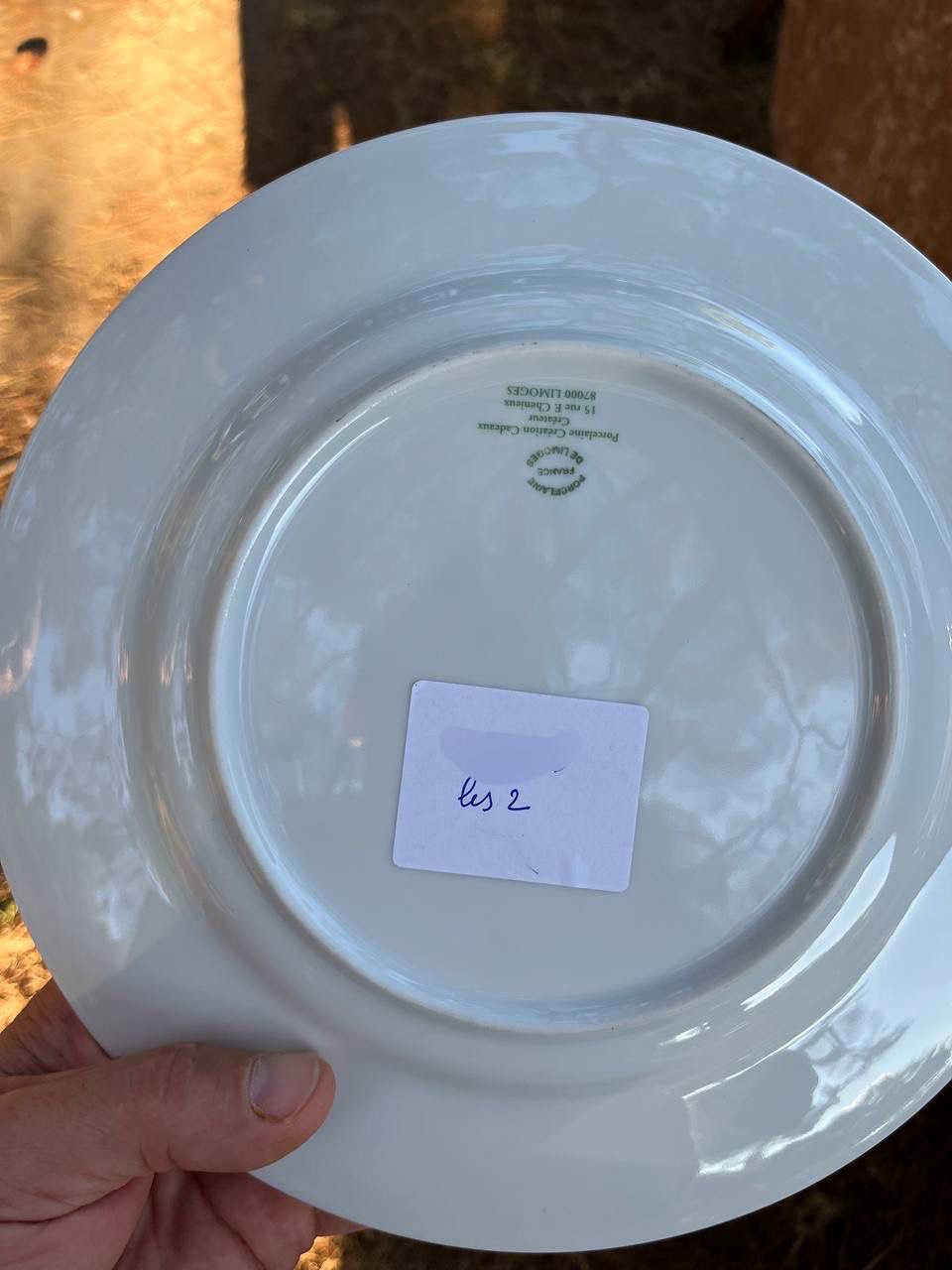 Тарелка декоративная винтажная 2 штуки Limoges